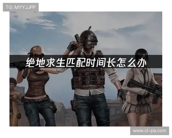提升PUBG游戏性能的多方位优化方案与技术分析